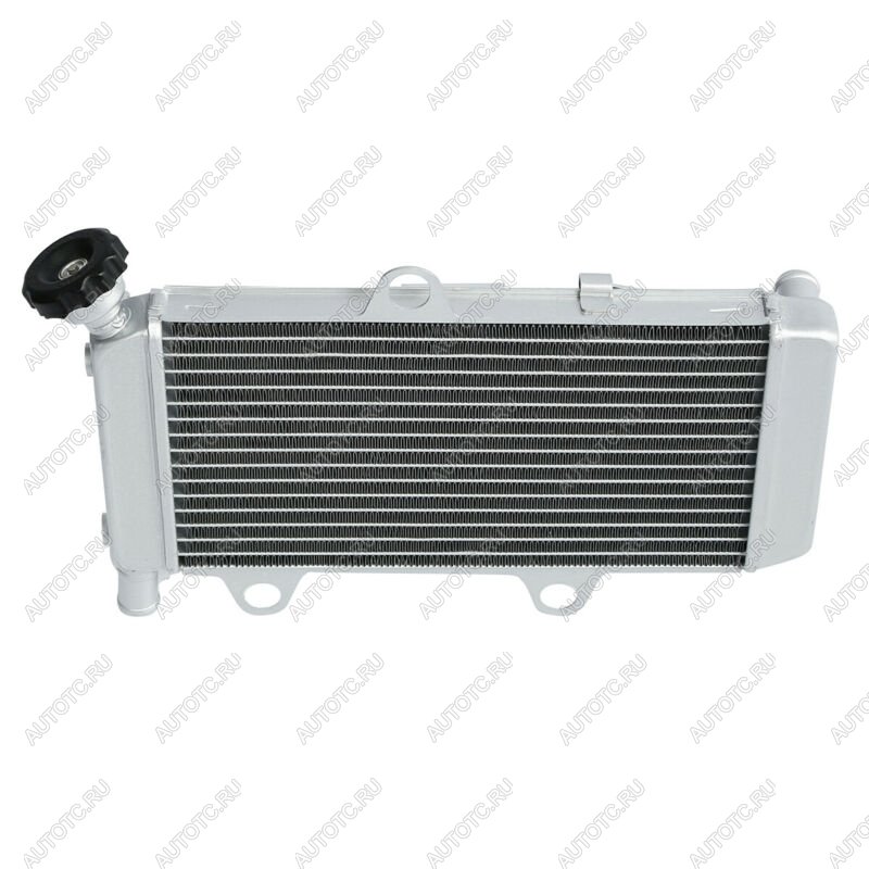 10 649 р. Радиатор для Yamaha XT660R, XT660X 04-14  пм-00025634  с доставкой в г. Керчь