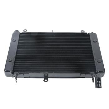10 549 р. Радиатор для Yamaha FZS1000 01-05  пм-00027315  с доставкой в г. Керчь. Увеличить фотографию 1