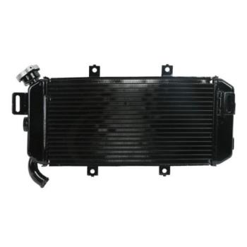 12 899 р. Радиатор для Kawasaki ER-6F 06-08  пм-00027318  с доставкой в г. Керчь. Увеличить фотографию 1