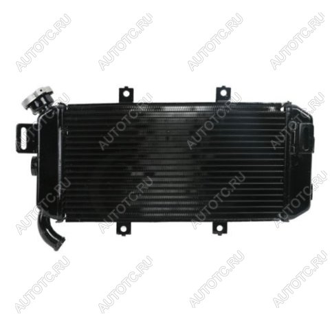 12 899 р. Радиатор для Kawasaki ER-6F 06-08  пм-00027318  с доставкой в г. Керчь
