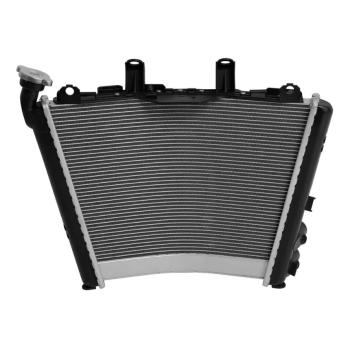 24 999 р. Радиатор для BMW M1000RR 21-24, S1000R 21-24, S1000RR 19-24  пм-00030874  с доставкой в г. Керчь. Увеличить фотографию 3
