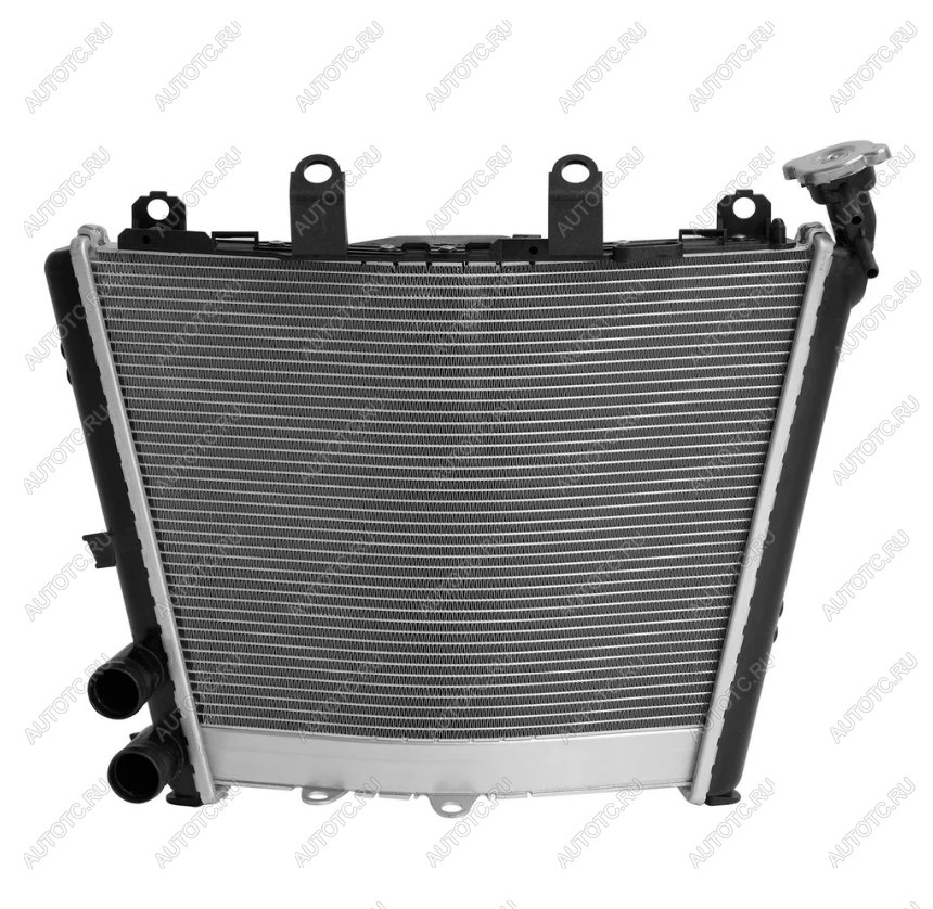 24 999 р. Радиатор для BMW M1000RR 21-24, S1000R 21-24, S1000RR 19-24  пм-00030874  с доставкой в г. Керчь