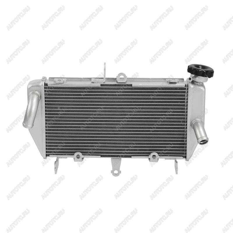 14 499 р. Радиатор для Yamaha MT-03, MT-25 16-24  пм-00030800  с доставкой в г. Керчь
