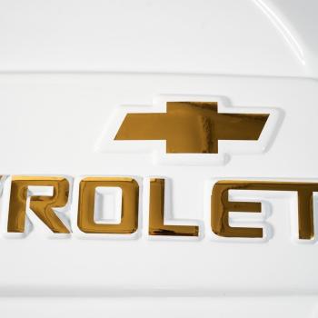 1 939 р. Колпак запасного колеса Chevrolet NIVA (до 2009 г.в.) ООО Автостайл Автостайл ООО г. Сызрань 2000000700410  с доставкой в г. Керчь. Увеличить фотографию 3