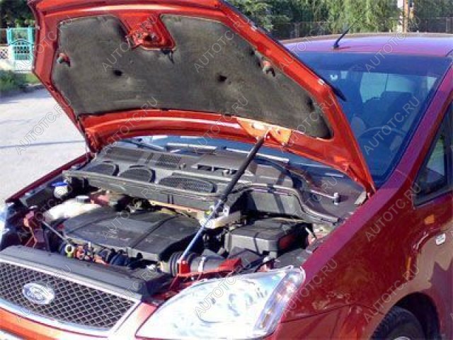 3 499 р. Упор капота ТехноМастер  Ford C-max  Mk1 (2003-2010) доресталинг, рестайлинг  с доставкой в г. Керчь
