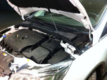 Упор капота ТехноМастер Ford Focus 3 универсал дорестайлинг (2010-2015)