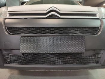 2 149 р. Защитная сетка в бампер (верх, ячейка 3х7 мм) Alfeco Стандарт  CITROEN Berlingo  B9 (2015-2022) рестайлинг (Чёрная)  с доставкой в г. Керчь. Увеличить фотографию 2