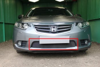 Защитная сетка в бампер (низ, ячейка 3х7 мм) Alfeco Стандарт Honda Accord ( 8 CU,  8 CW) (2011-2013) седан рестайлинг, универсал рестайлинг (Чёрная)