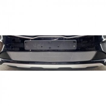 2 569 р. Защитная сетка в бампер (низ, ячейка 3х7 мм) Alfeco Стандарт  KIA Carnival  YP (2018-2020) минивэн рестайлинг (Хром)  с доставкой в г. Керчь. Увеличить фотографию 2