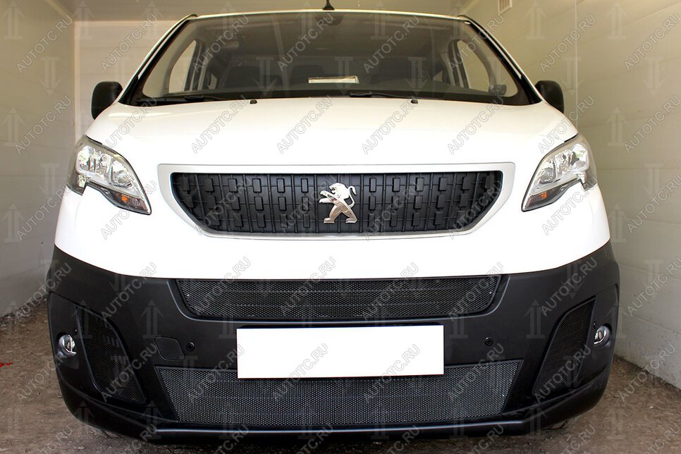 5 949 р. Защита радиатора (2 части центральные) Стрелка11 Стандарт Peugeot Expert K0 цельнометаллический фургон дорестайлинг (2016-2024) (черная)  с доставкой в г. Керчь