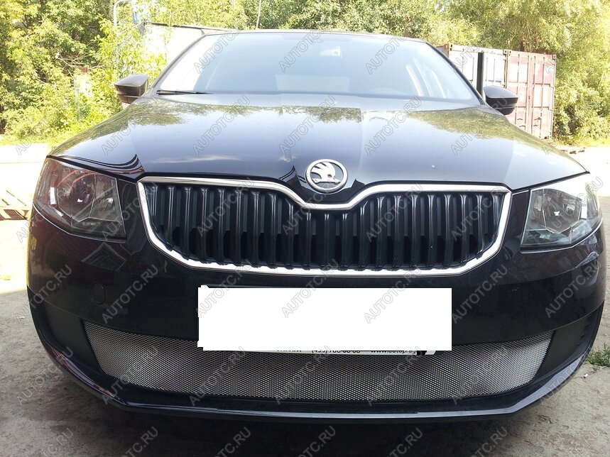 3 179 р. Защита радиатора (Active) Стрелка11 Стандарт  Skoda Octavia  A7 (2012-2017) дорестайлинг лифтбэк, дорестайлинг универсал (хром)  с доставкой в г. Керчь