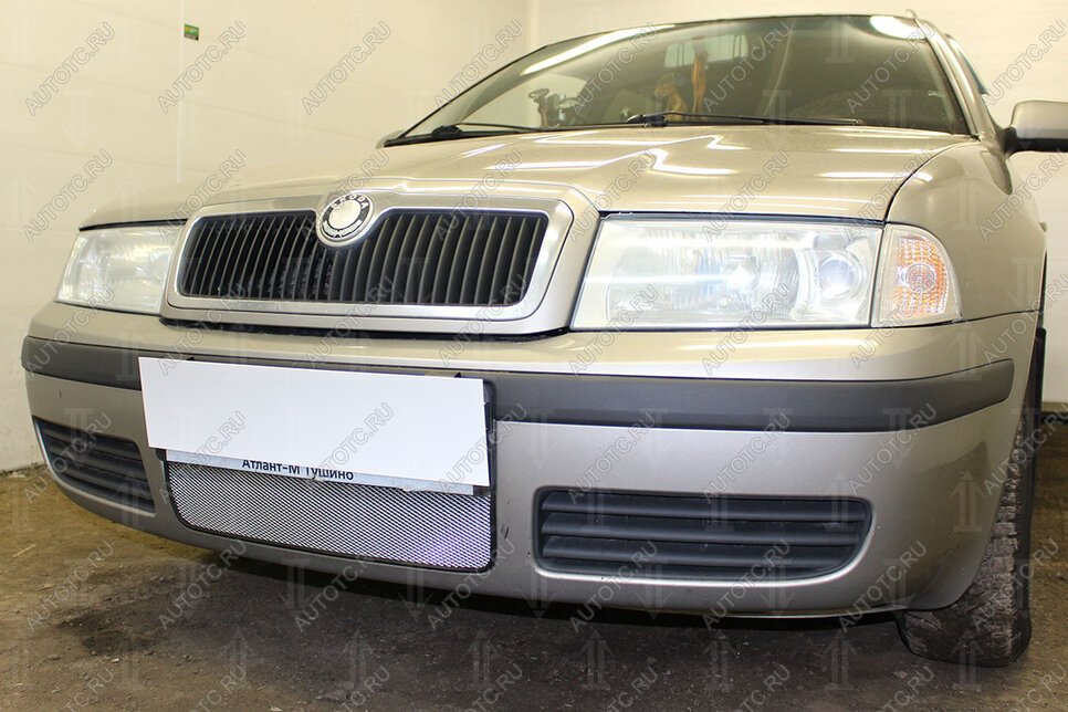3 149 р. Защита радиатора Стрелка11 Стандарт Skoda Octavia Tour A4 1U2 лифтбэк рестайлинг (2000-2010) (хром)  с доставкой в г. Керчь