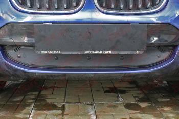 Зимняя заглушка решетки радиатора (низ) (G01) (20 i 20 d30 d AT Base) Стрелка11 BMW X3  G01 (2017-2021) дорестайлинг (черная)