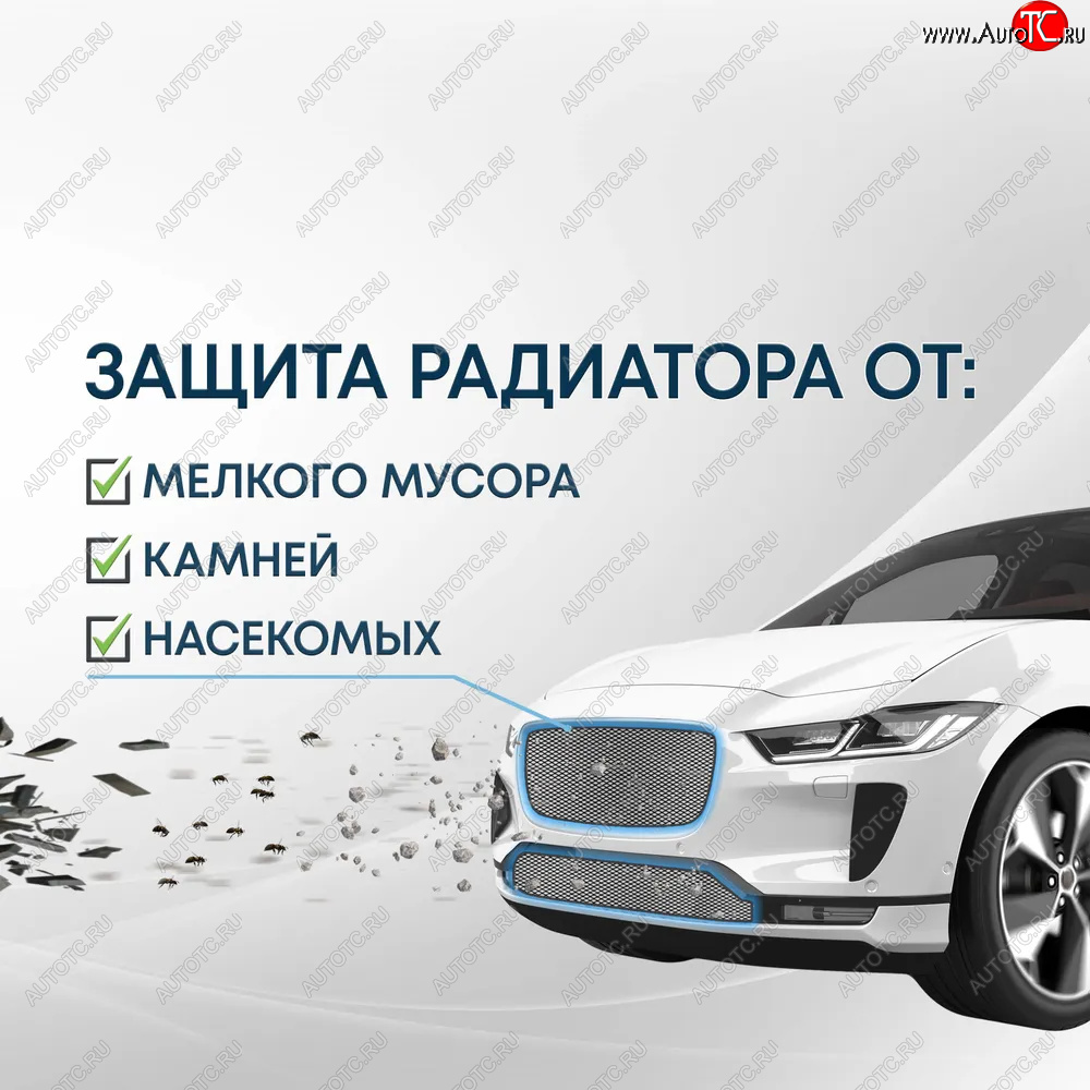 3 099 р. Защитная сетка в бампер (низ, 2 части, ячейка 3х7 мм) Alfeco Стандарт EXEED RX (2022-2025) (Чёрная)  с доставкой в г. Керчь