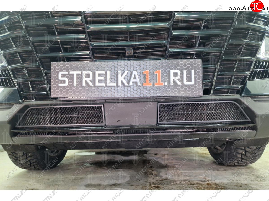 2 399 р. Защитная сетка в бампер (низ, 2 части, ячейка 3х7 мм) Alfeco Стандарт Jetour Dashing (2022-2025) (Чёрная)  с доставкой в г. Керчь