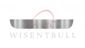 Ремкомплект правой двери Wisentbull Renault Clio  CB (1998-2012) дорестайлинг, хэтчбэк 3 дв., рестайлинг, хэтчбэк 3 дв.