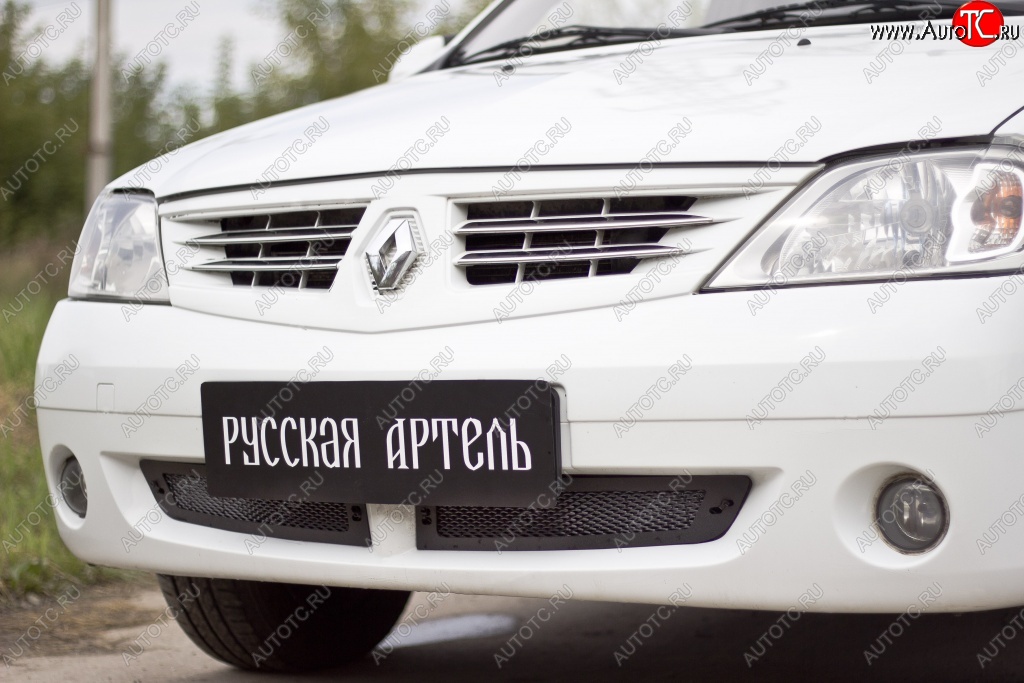 1 859 р. Защитная сетка решетки переднего бампера РА  Renault Logan  1 (2004-2010) дорестайлинг  с доставкой в г. Керчь