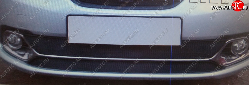 1 789 р. Нижняя защитная сетка на бампер (Privilege, Luxe) Russtal (черная) Renault Logan 2 дорестайлинг (2014-2018)  с доставкой в г. Керчь