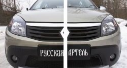 2 199 р. Защитная сетка решетки переднего бампера РА  Renault Sandero Stepway  (BS) (2010-2014)  с доставкой в г. Керчь. Увеличить фотографию 2