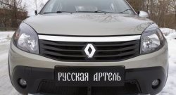 2 199 р. Защитная сетка решетки переднего бампера РА  Renault Sandero Stepway  (BS) (2010-2014)  с доставкой в г. Керчь. Увеличить фотографию 3