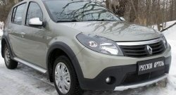 2 199 р. Защитная сетка решетки переднего бампера РА  Renault Sandero Stepway  (BS) (2010-2014)  с доставкой в г. Керчь. Увеличить фотографию 4