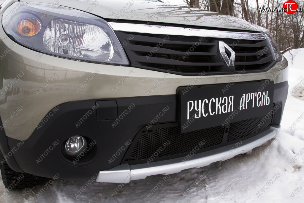 2 199 р. Защитная сетка решетки переднего бампера РА  Renault Sandero Stepway  (BS) (2010-2014)  с доставкой в г. Керчь