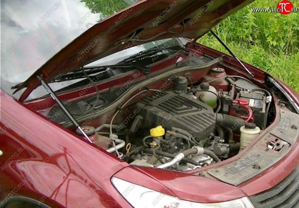 2 199 р. Газовые упоры капота Berkut Renault Sandero (BS) (2009-2014)  с доставкой в г. Керчь