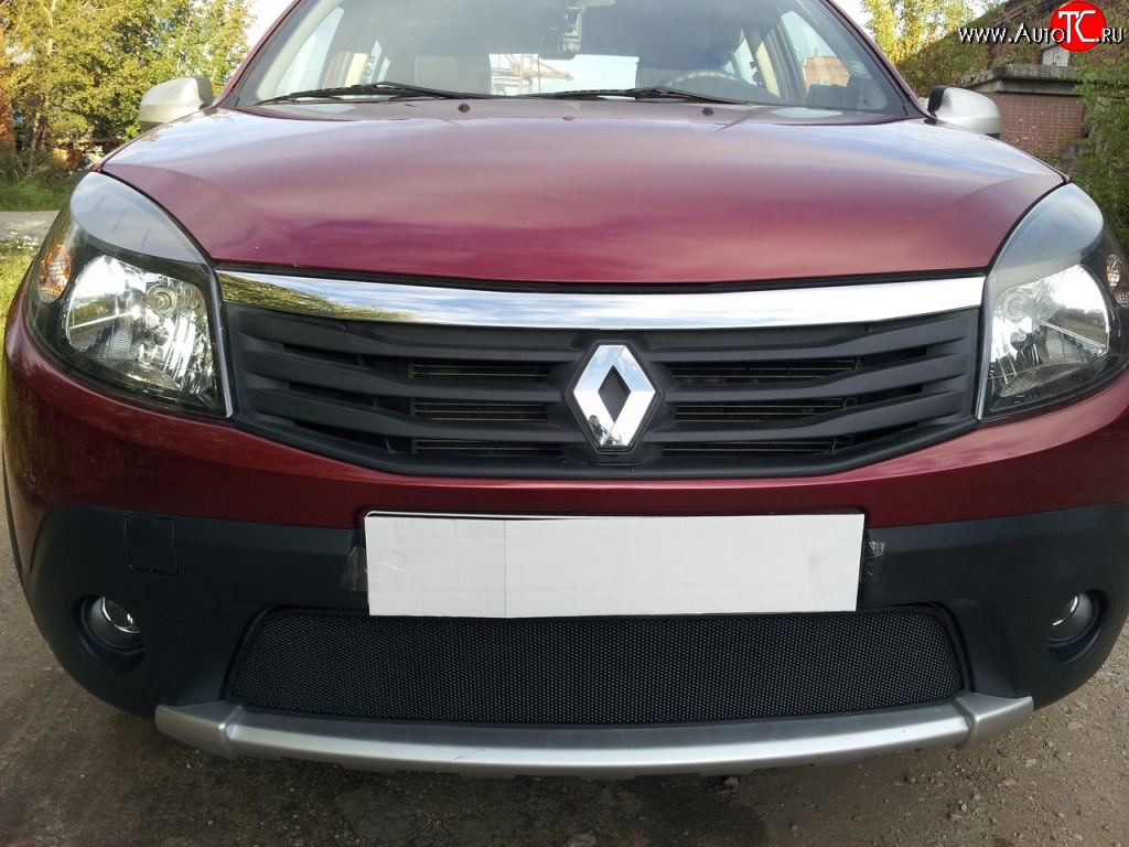 1 934 р. Сетка на бампер Novline Renault Sandero Stepway (B8) дорестайлинг (2014-2018)  с доставкой в г. Керчь