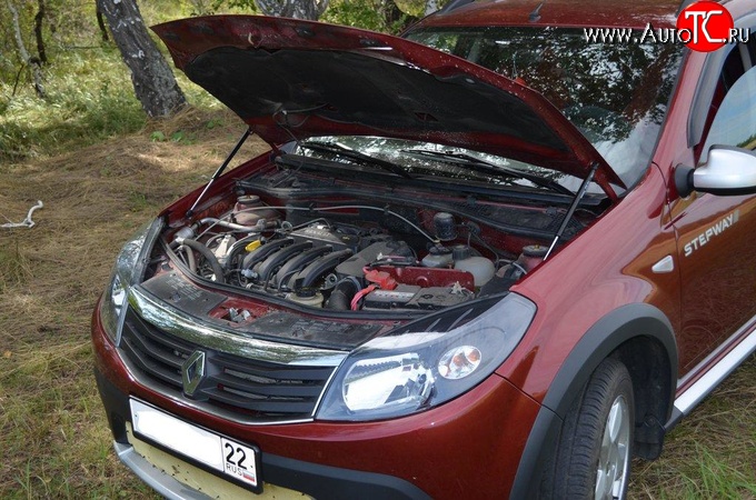 2 969 р. Упор капота Sport. Renault Sandero Stepway (BS) (2010-2014)  с доставкой в г. Керчь