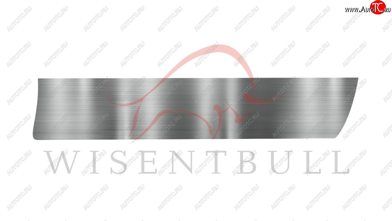 1 989 р. Ремкомплект правой двери Wisentbull Renault Scenic 1 (1996-2003)  с доставкой в г. Керчь