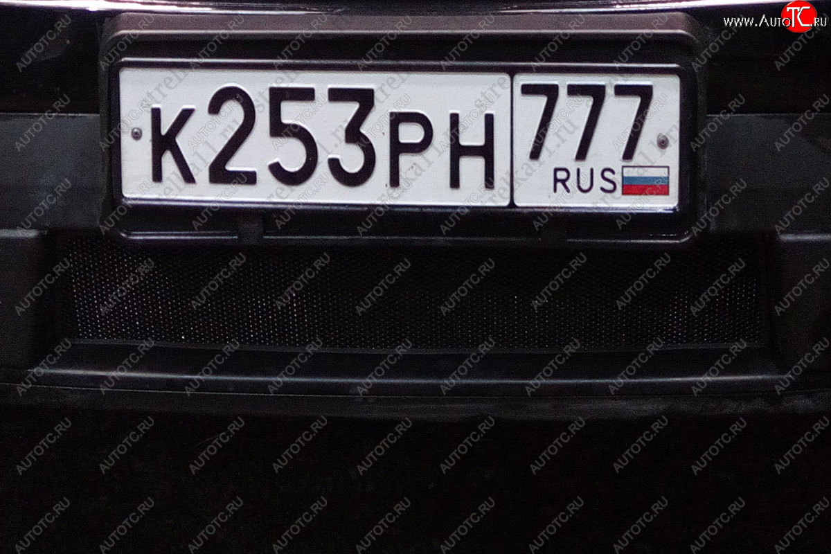 2 899 р. Защитная сетка радиатора в бампер (ячейка 3х7 мм, комплект) Стрелка 11 Стандарт Ford Explorer U502 дорестайлинг (2010-2016) (черная)  с доставкой в г. Керчь