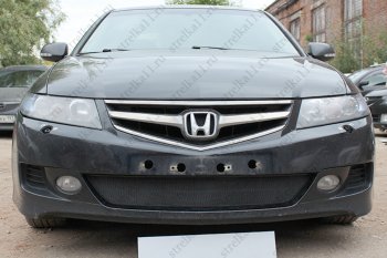 Защитная сетка радиатора в бампер (ячейка 3х7 мм) Стрелка11 Стандарт Honda Accord ( 7 CL,  7 CM) (2005-2008) седан рестайлинг, универсал рестайлинг (черная)