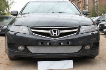 Защитная сетка радиатора в бампер (ячейка 3х7 мм) Стрелка11 Стандарт Honda Accord ( 7 CL,  7 CM) (2005-2008) седан рестайлинг, универсал рестайлинг (хром)