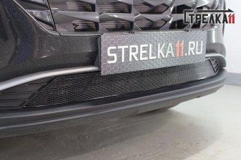 Защитная сетка радиатора в бампер (ячейка 4х10 мм) Стрелка11 Премиум Hyundai Tucson  NX4 (2020-2022) (черная)