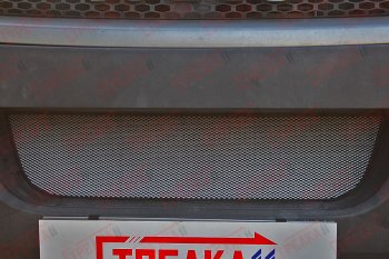 2 899 р. Защитная сетка радиатора в бампер (ячейка 3х7 мм) Стрелка11 Стандарт  Iveco Daily (2006-2011) (хром)  с доставкой в г. Керчь. Увеличить фотографию 2