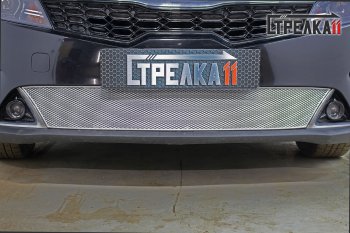Защитная сетка радиатора в бампер (ячейка 4х10 мм) Стрелка11 Премиум KIA Rio ( 4 FB,  4 YB) (2020-2025) рестайлинг седан, рестайлинг, хэтчбэк (хром)