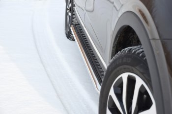 Защита порогов (с алюм. площадкой, Ø51 мм) Petroil Tuning Petroil Tuning Renault Arkana (2019-2025) (полированная нержавейка)