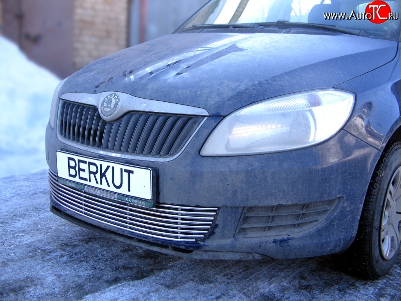 5 899 р. Декоративная вставка воздухозаборника Berkut Skoda Fabia Mk2 универсал дорестайлинг (2007-2010)  с доставкой в г. Керчь