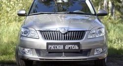 2 069 р. Защитная сетка решетки переднего бампера РА  Skoda Fabia  Mk2 (2010-2014) универсал рестайлинг, хэтчбэк рестайлинг  с доставкой в г. Керчь. Увеличить фотографию 2