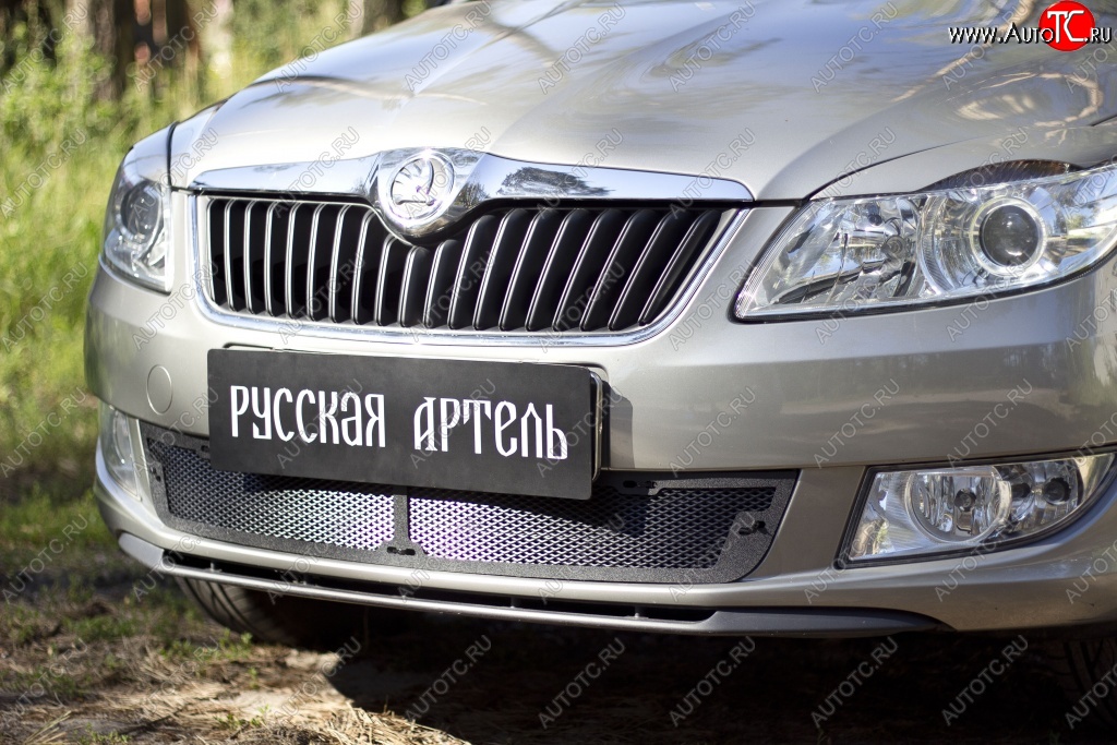 2 069 р. Защитная сетка решетки переднего бампера РА  Skoda Fabia  Mk2 (2010-2014) универсал рестайлинг, хэтчбэк рестайлинг  с доставкой в г. Керчь