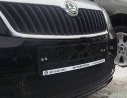 1 469 р. Сетка на бампер (рестайлинг) Russtal (черная) Skoda Fabia Mk2 универсал дорестайлинг (2007-2010)  с доставкой в г. Керчь. Увеличить фотографию 2