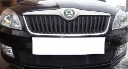 1 469 р. Сетка на бампер (рестайлинг) Russtal (черная) Skoda Fabia Mk2 универсал дорестайлинг (2007-2010)  с доставкой в г. Керчь. Увеличить фотографию 4