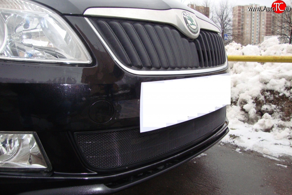 1 469 р. Сетка на бампер (рестайлинг) Russtal (черная) Skoda Fabia Mk2 универсал дорестайлинг (2007-2010)  с доставкой в г. Керчь