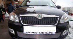 1 539 р. Сетка на бампер (рестайлинг) Russtal (хром) Skoda Fabia Mk2 универсал дорестайлинг (2007-2010)  с доставкой в г. Керчь. Увеличить фотографию 2