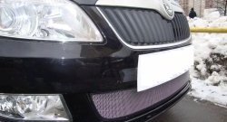 1 539 р. Сетка на бампер (рестайлинг) Russtal (хром) Skoda Fabia Mk2 универсал дорестайлинг (2007-2010)  с доставкой в г. Керчь. Увеличить фотографию 3