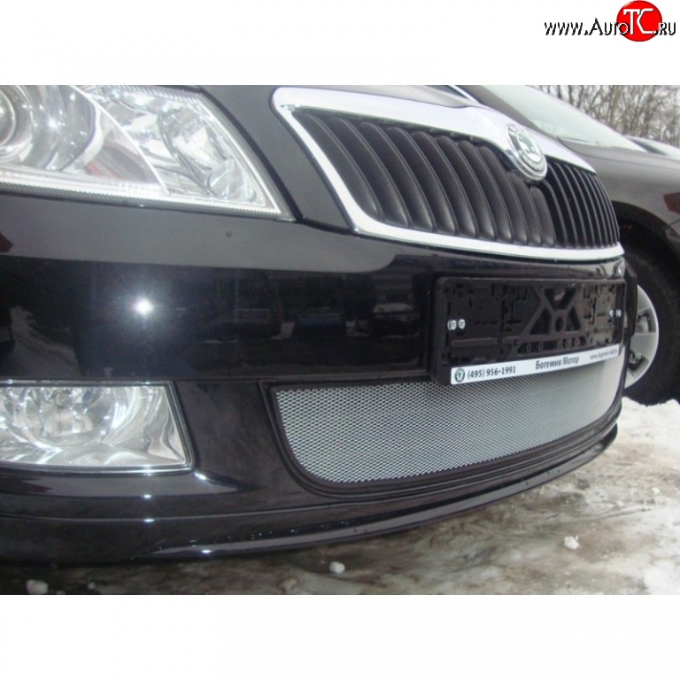 1 539 р. Сетка на бампер (рестайлинг) Russtal (хром) Skoda Fabia Mk2 универсал дорестайлинг (2007-2010)  с доставкой в г. Керчь