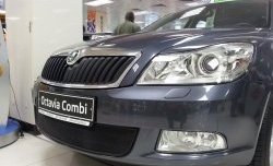 1 469 р. Сетка на бампер Russtal (черная) Skoda Octavia A5 рестайлинг универсал (2008-2013)  с доставкой в г. Керчь. Увеличить фотографию 2