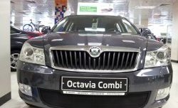 1 469 р. Сетка на бампер Russtal (черная) Skoda Octavia A5 рестайлинг универсал (2008-2013)  с доставкой в г. Керчь. Увеличить фотографию 3