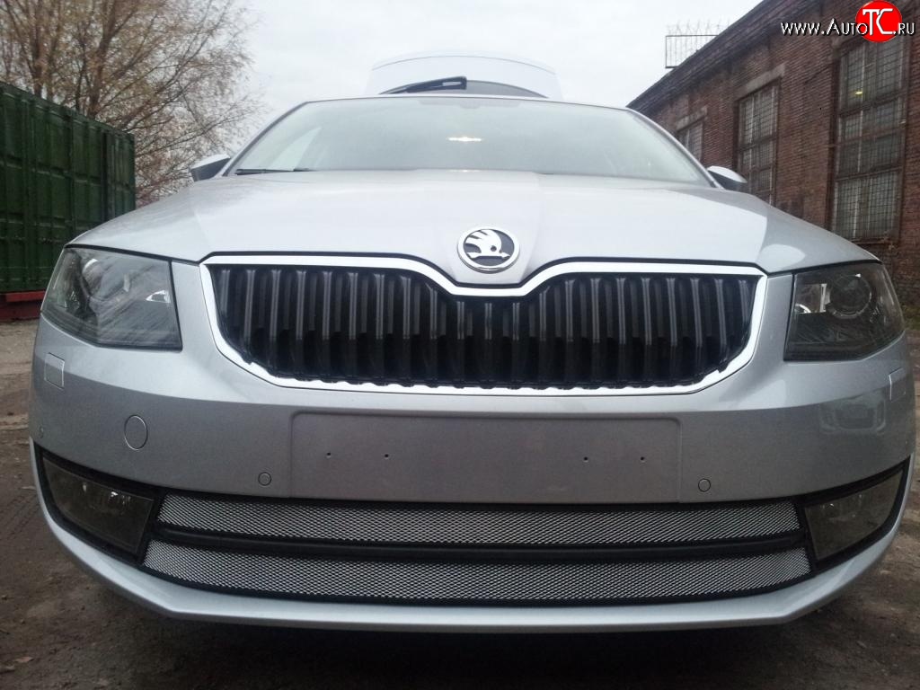 2 699 р. Сетка (для комплектации Ambition, Elegance) на бампер Russtal (хром) Skoda Octavia A7 дорестайлинг лифтбэк (2012-2017)  с доставкой в г. Керчь