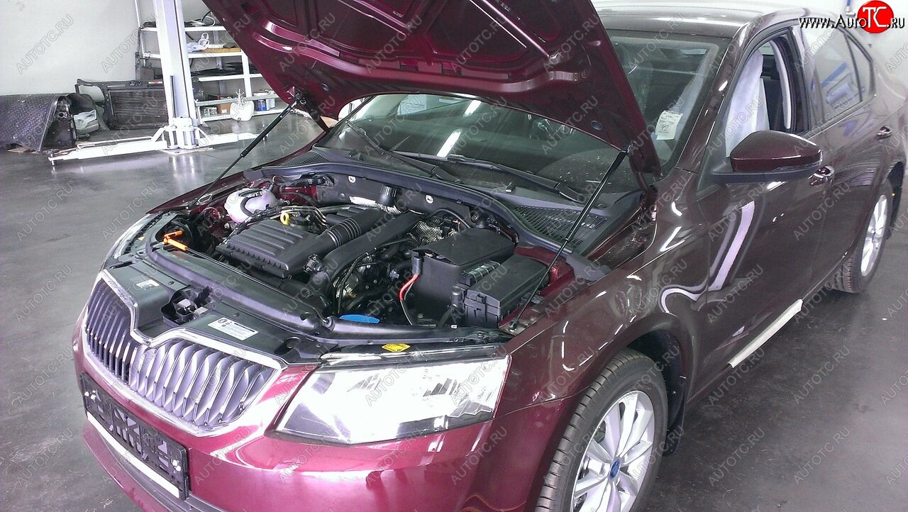 2 049 р. Упоры капота Russtal Skoda Octavia A7 дорестайлинг универсал (2012-2017)  с доставкой в г. Керчь